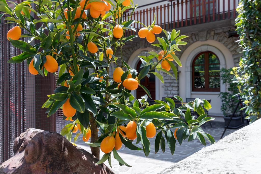Villa Mariarosa Apartments Тиньяле Экстерьер фото